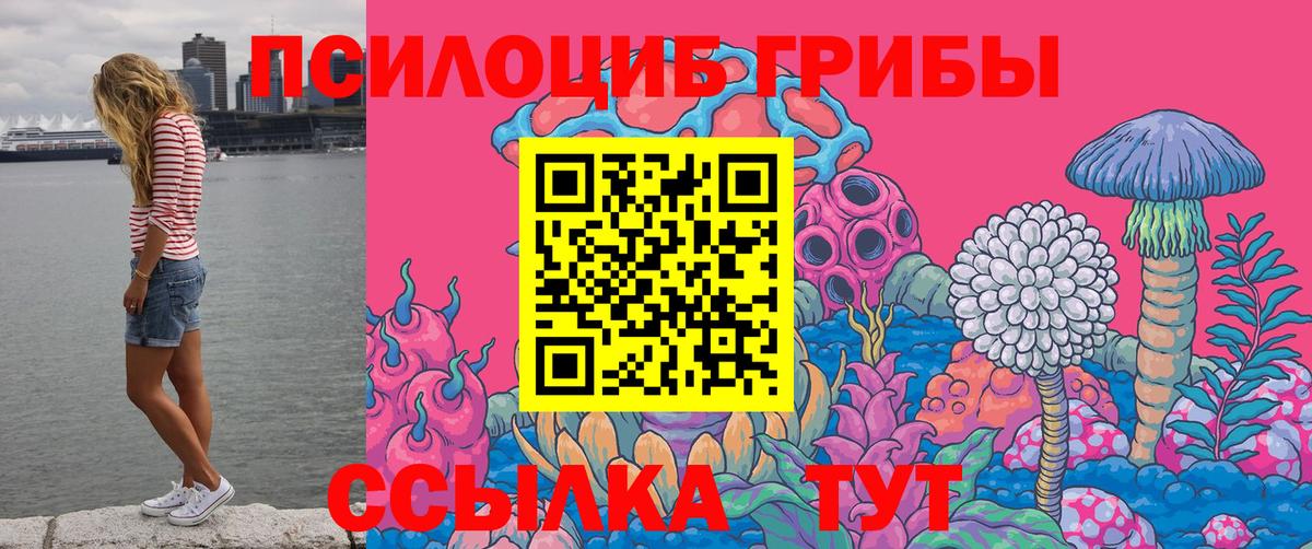 купить наркоту  Галлюциногенные грибы GOLDEN TEACHER  Вход с VPN  Галлюциногенные грибы Psilocybine cubensis  Ижевск 
