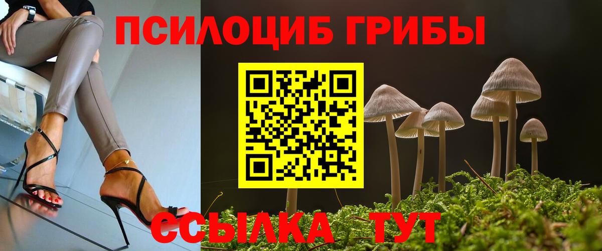 Псилоцибиновые грибы GOLDEN TEACHER Ижевск
